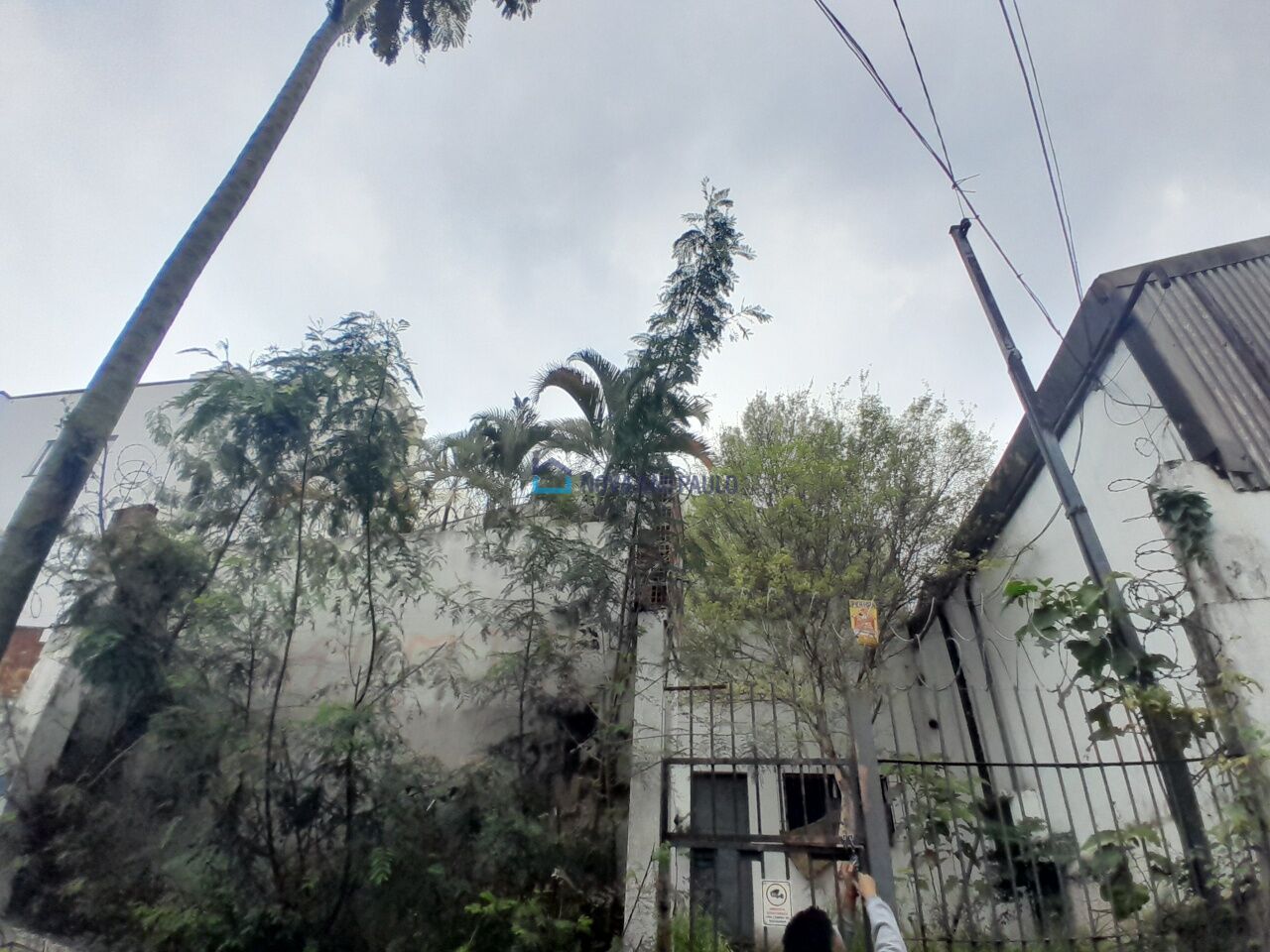 Foto 27 - JA42035