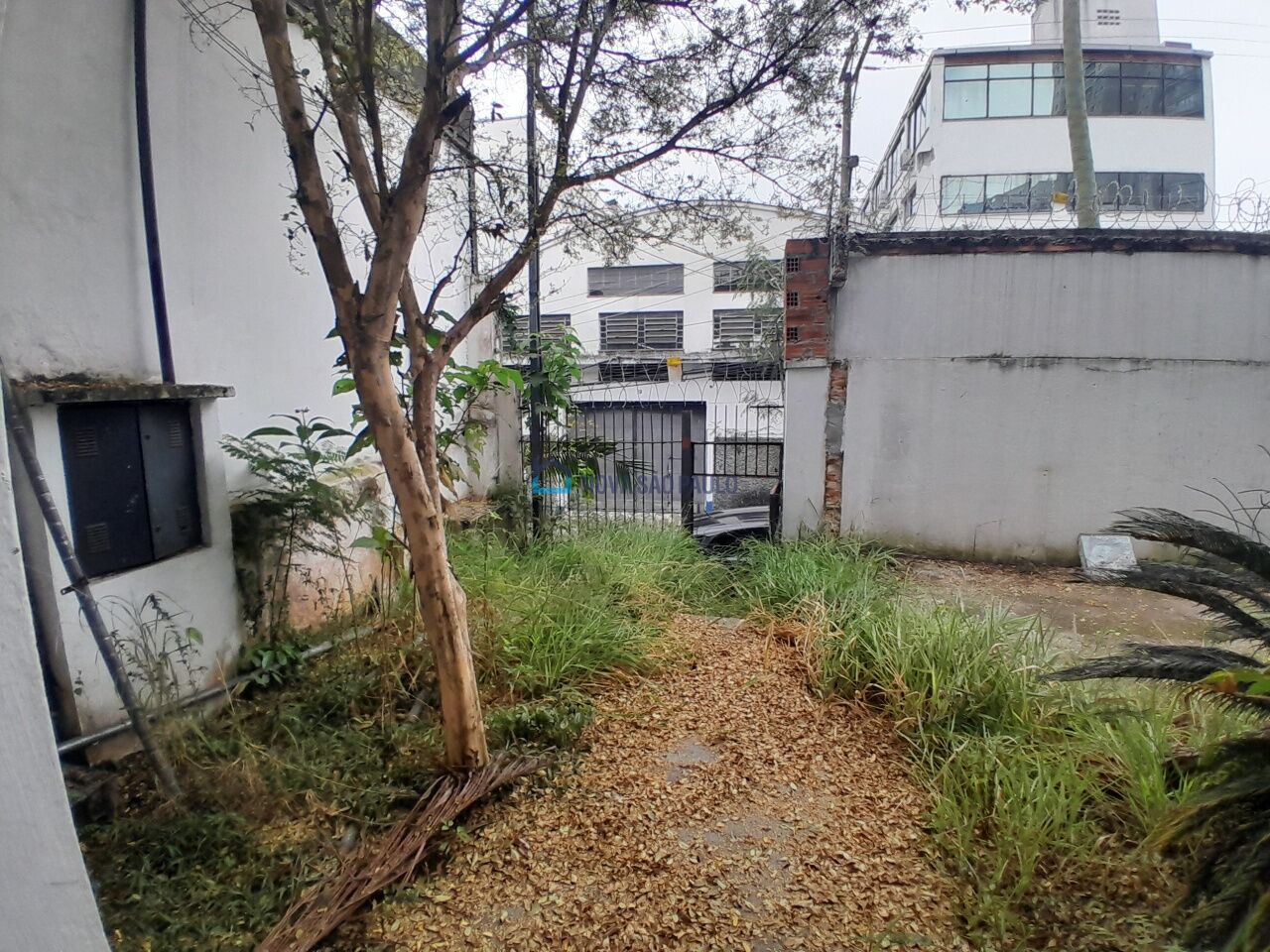 Foto 22 - JA42035