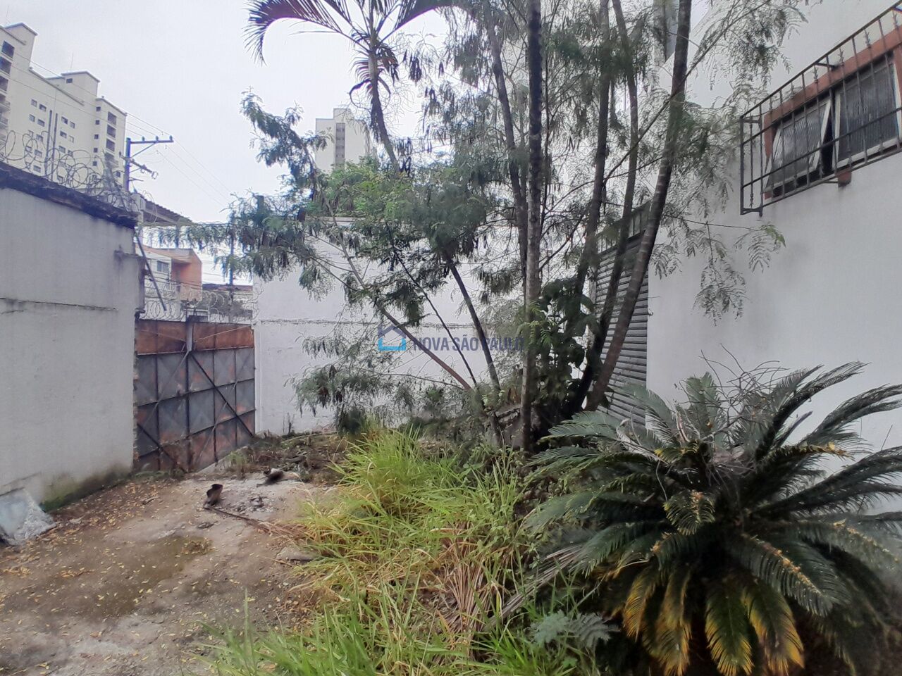 Foto 23 - JA42035