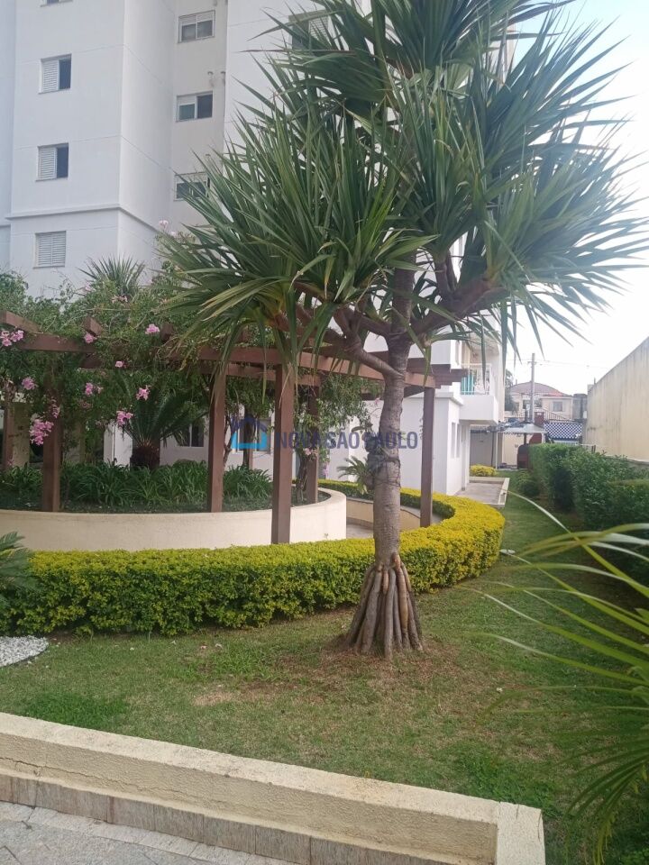 Foto 8 - JA42624