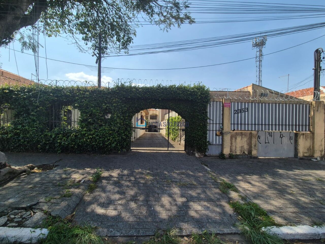 Foto 20 - JA42633