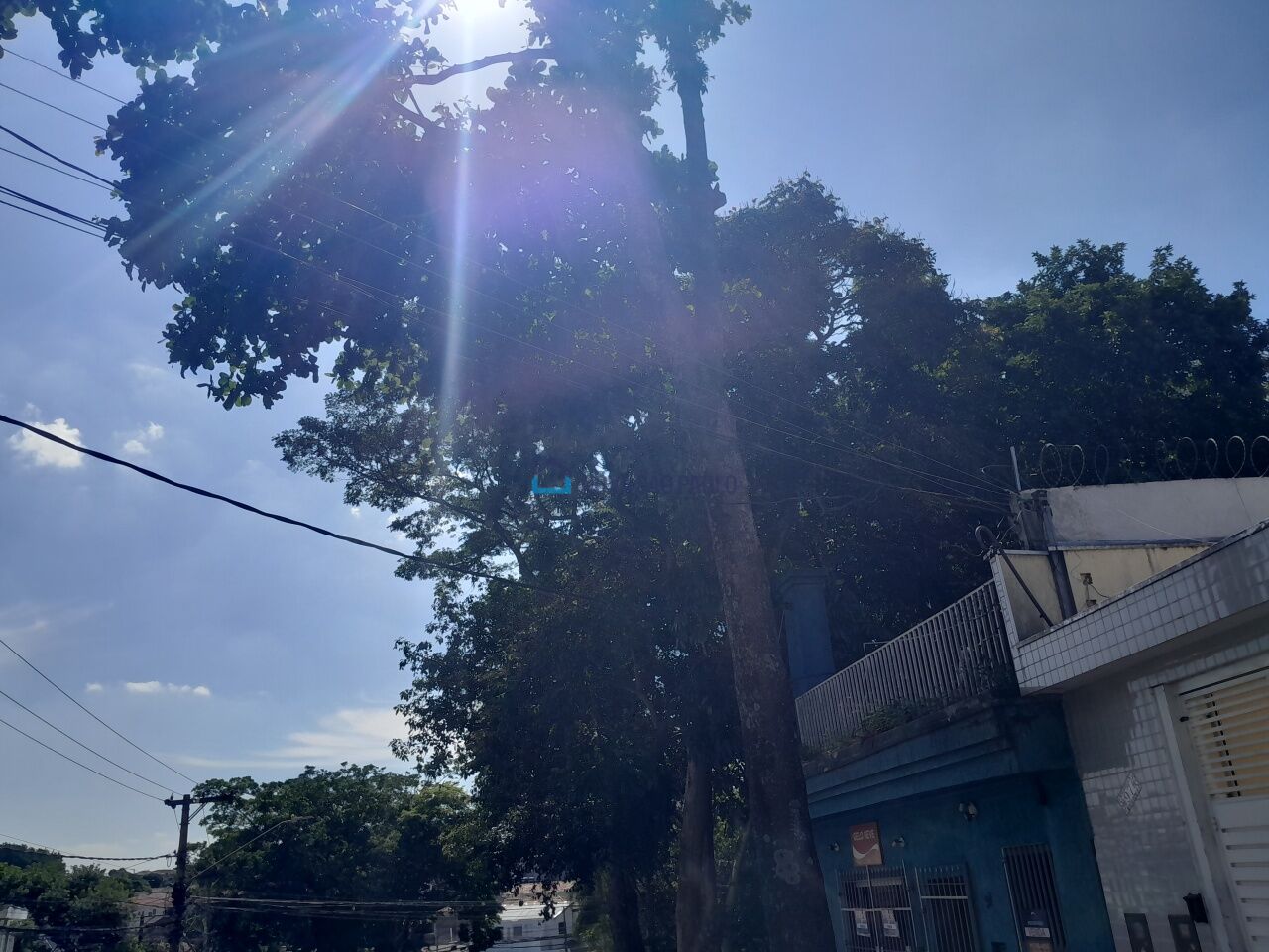 Foto 18 - JA44425