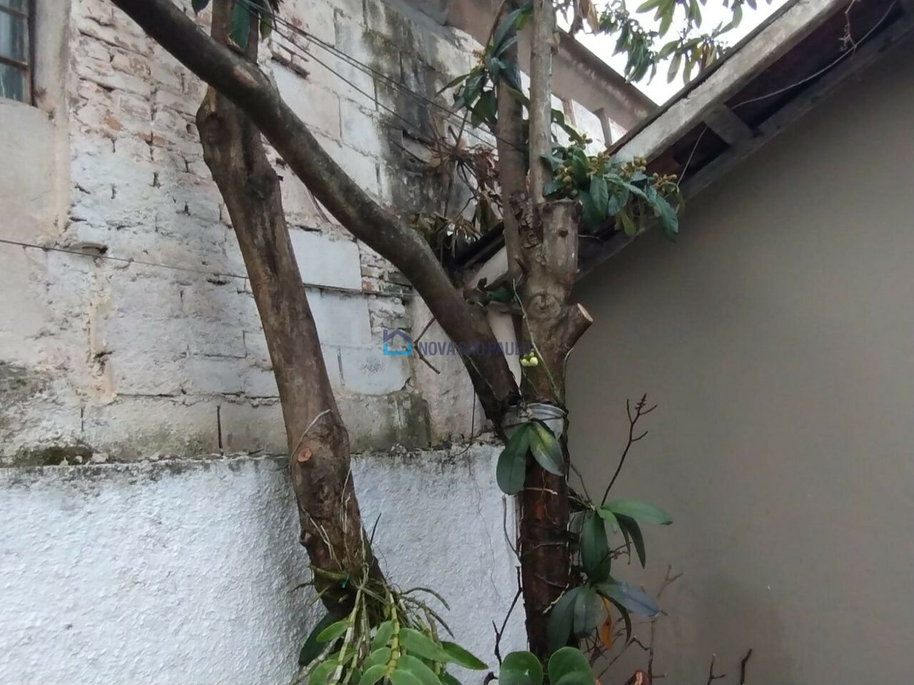Foto 24 - JA44553