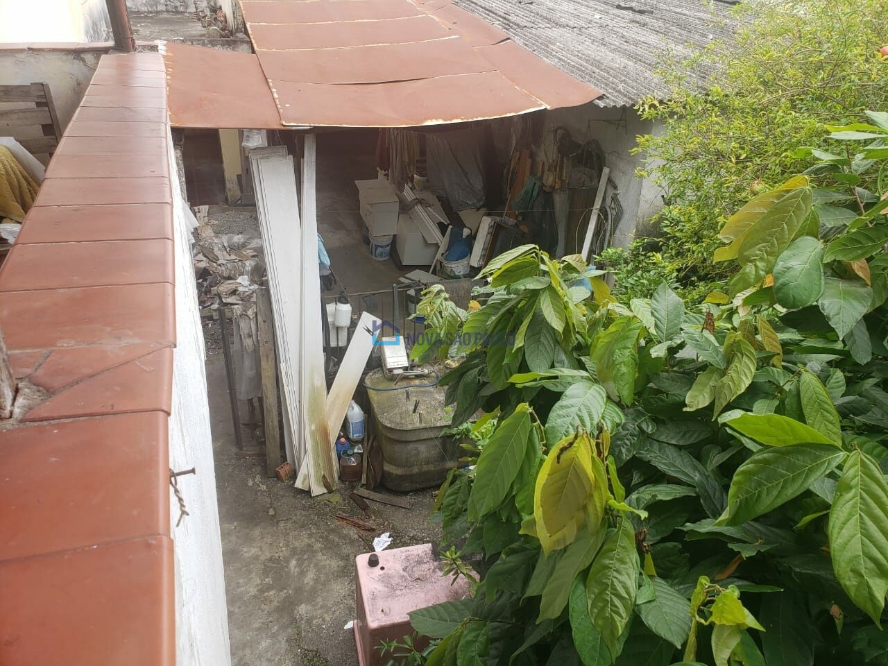 Foto 24 - JA44641