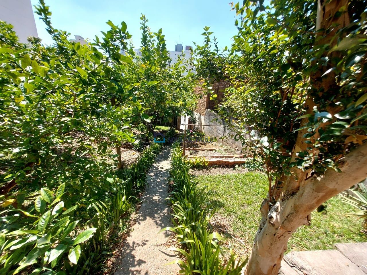 Foto 11 - JA44755