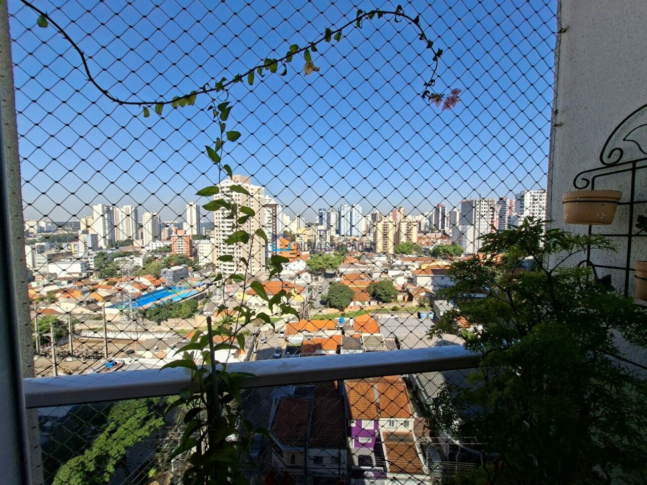 Foto 7 - JA44782