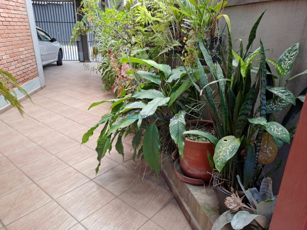 Foto 23 - JA44893