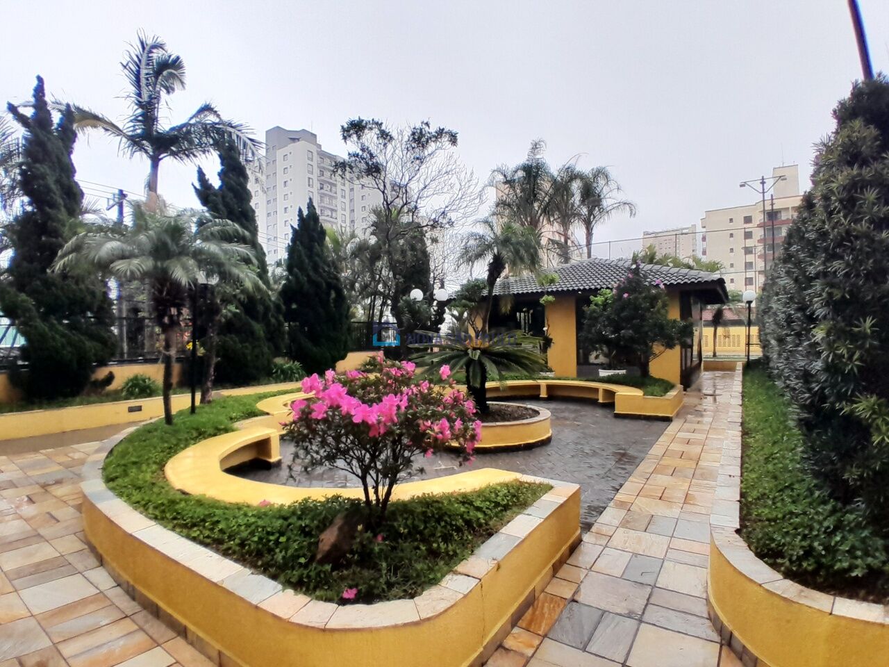 Foto 46 - JA44999