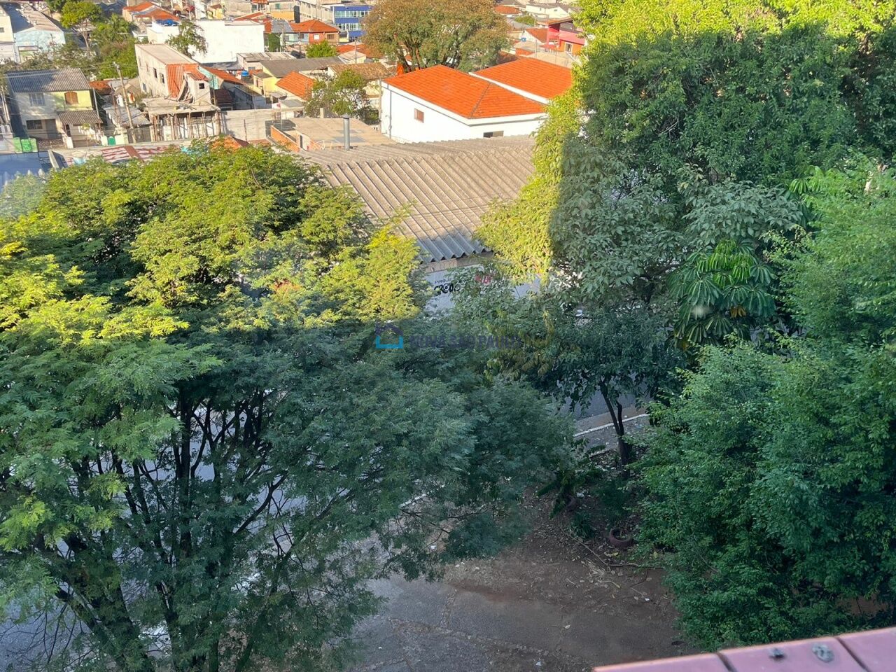 Foto 25 - MO12419