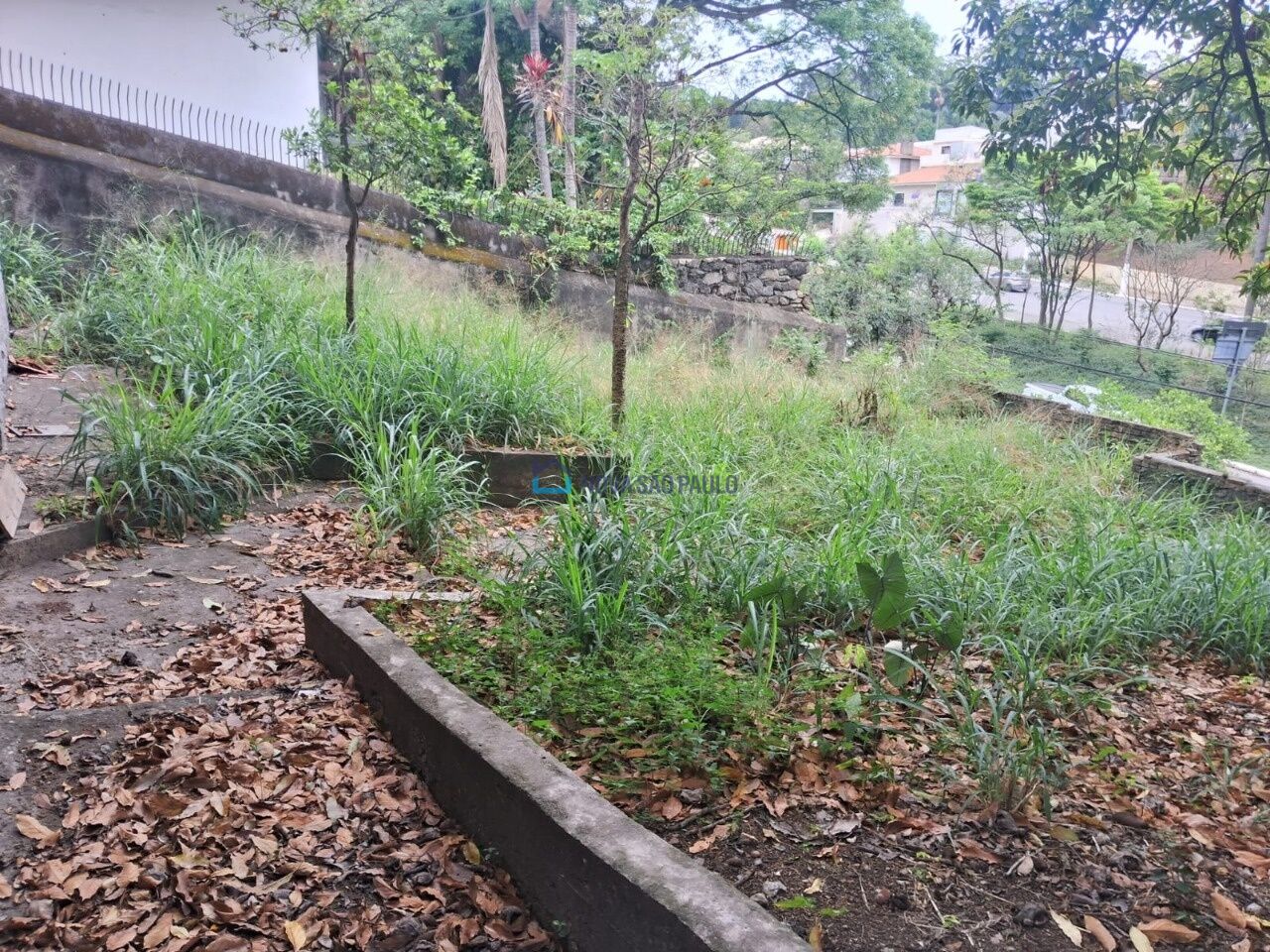 Foto 5 - MO14486