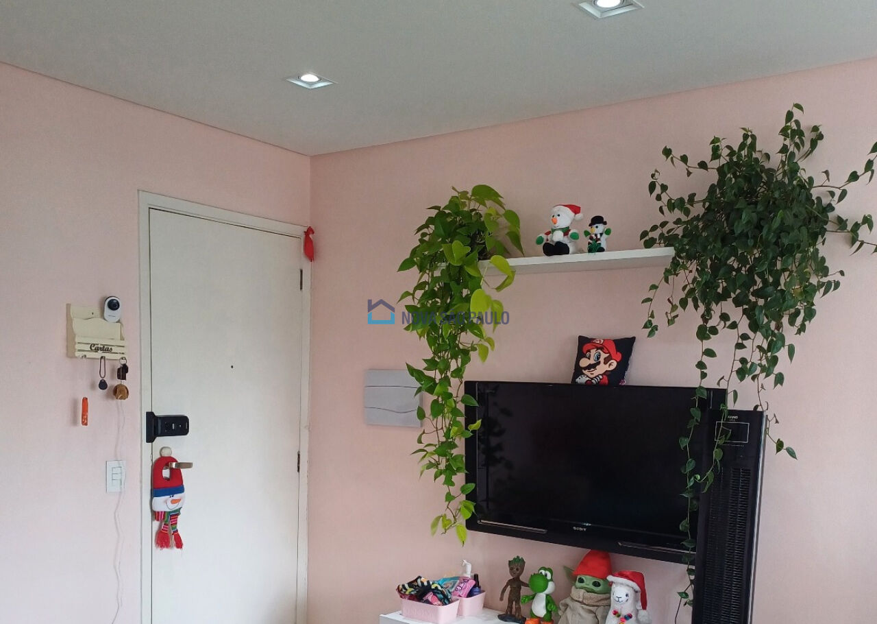 Foto 6 - MO15245