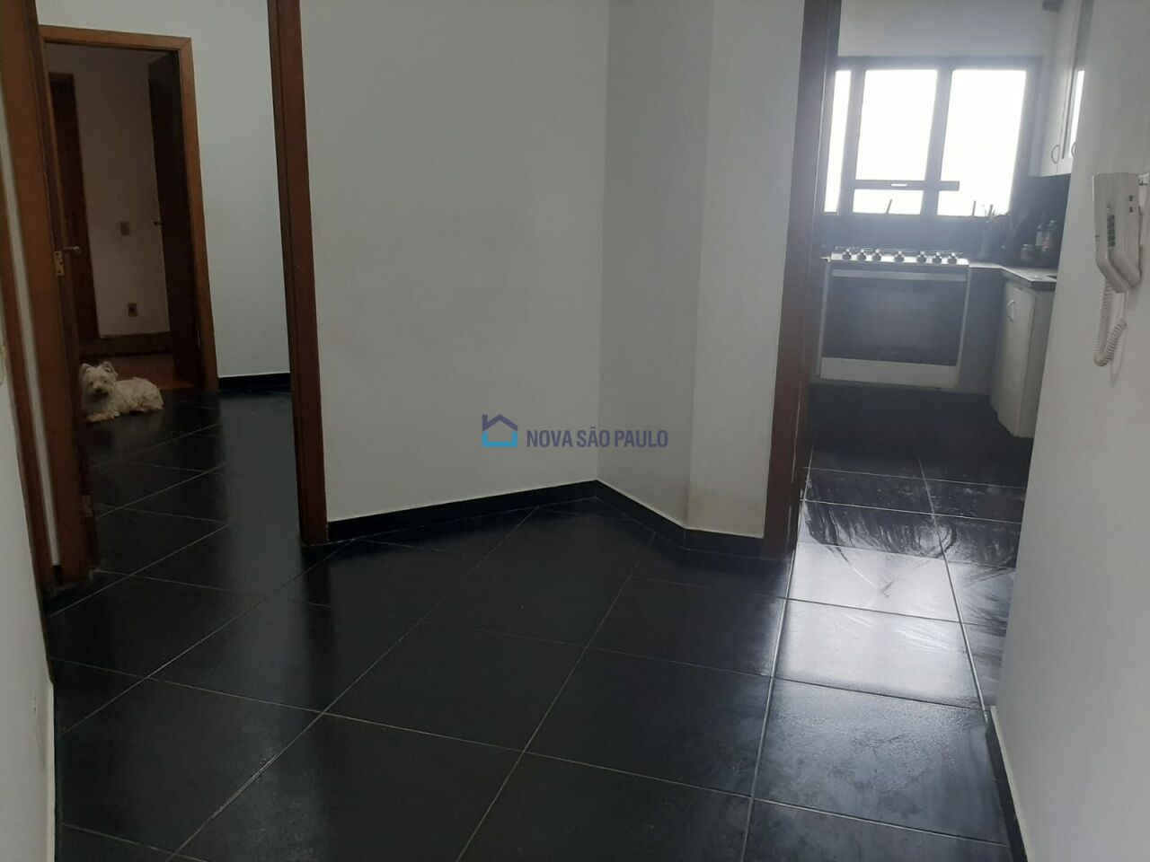 Foto 5 - MO15490