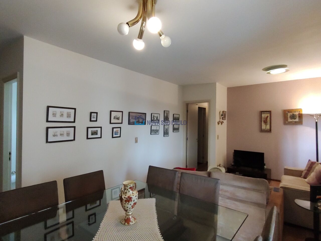 Foto 2 - MO16078