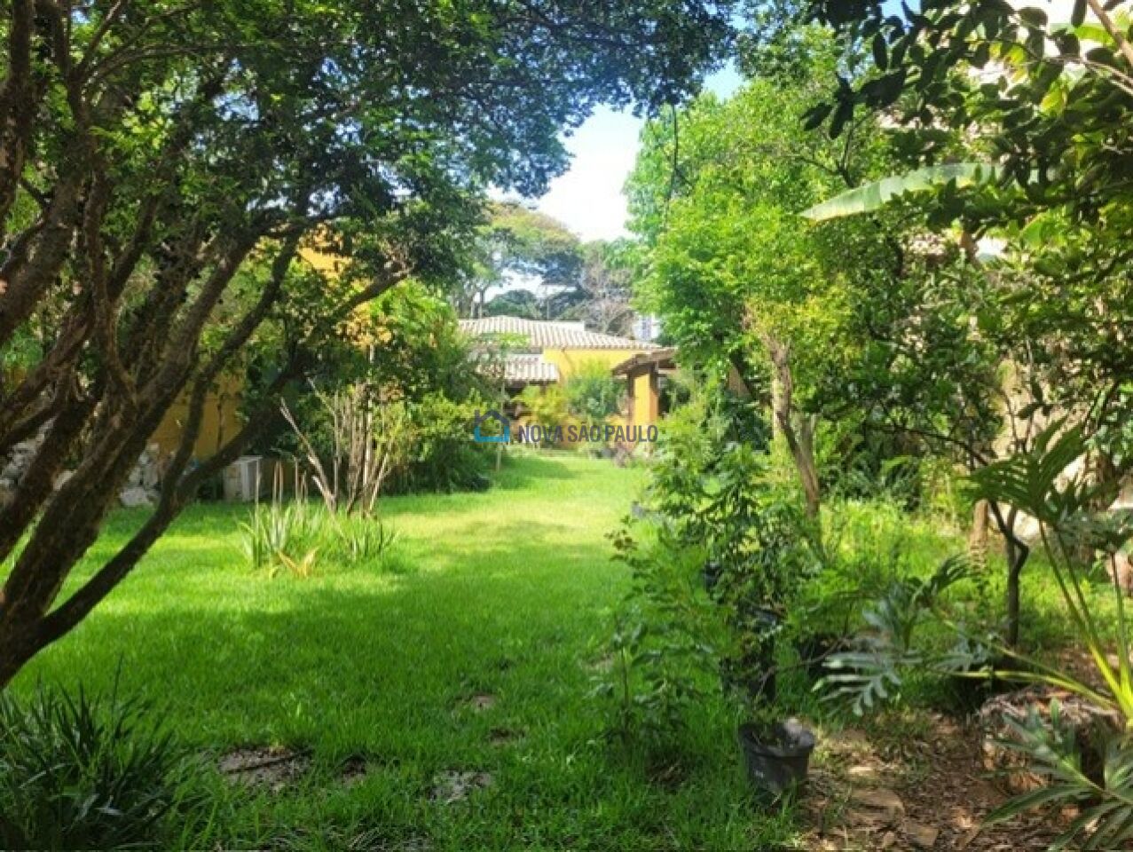 Foto 39 - MO16663