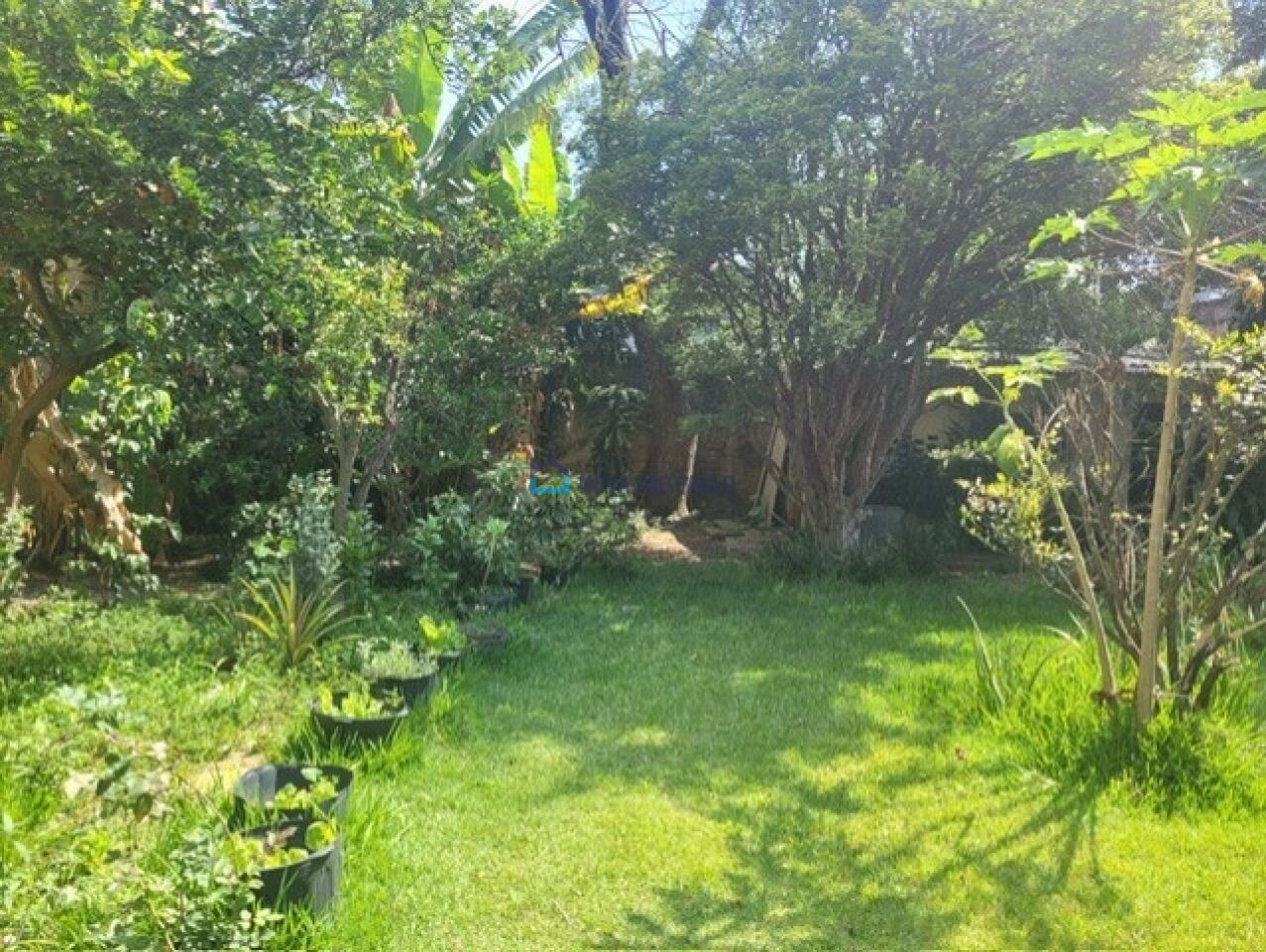Foto 37 - MO16663