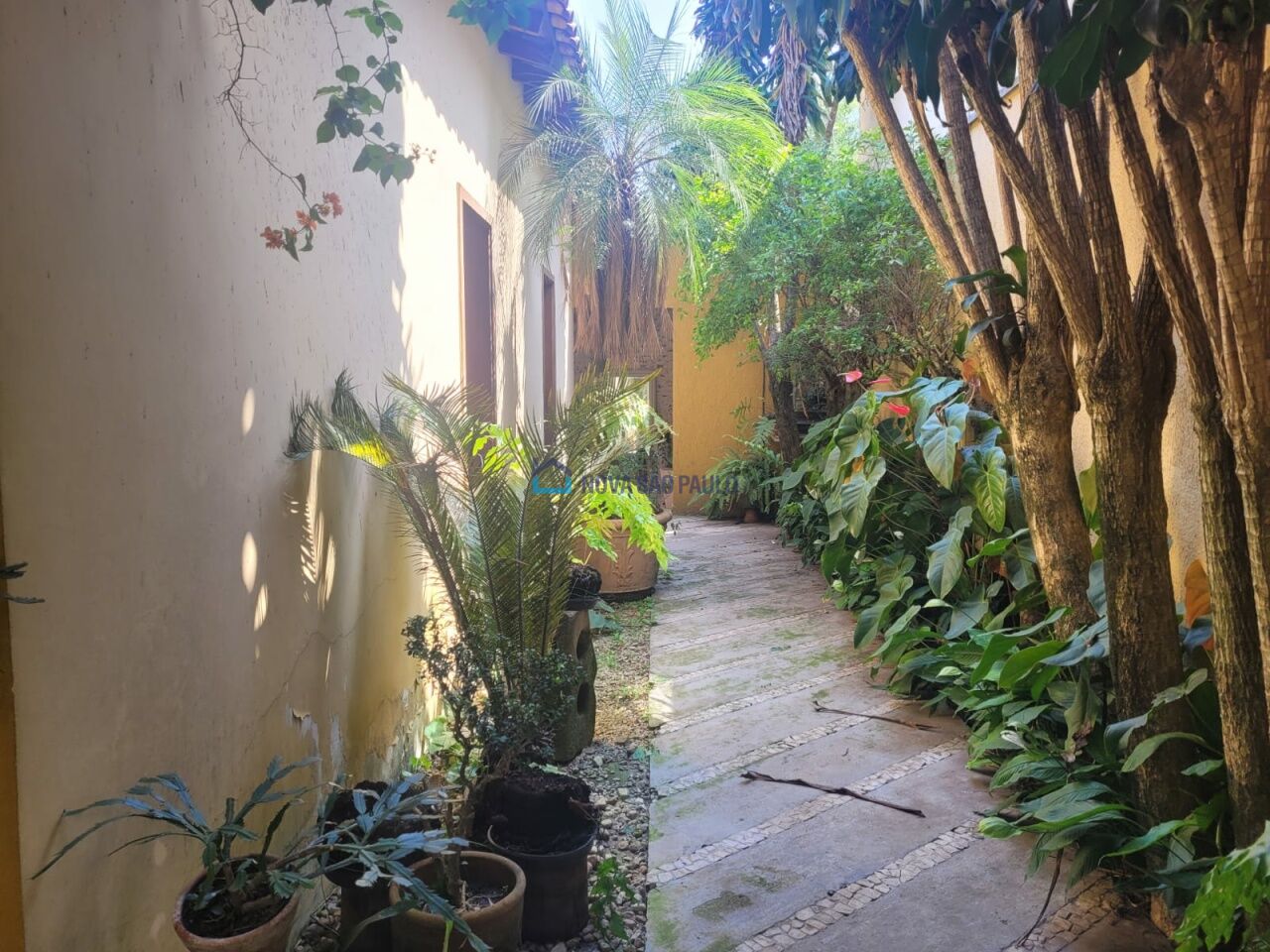 Foto 34 - MO16663