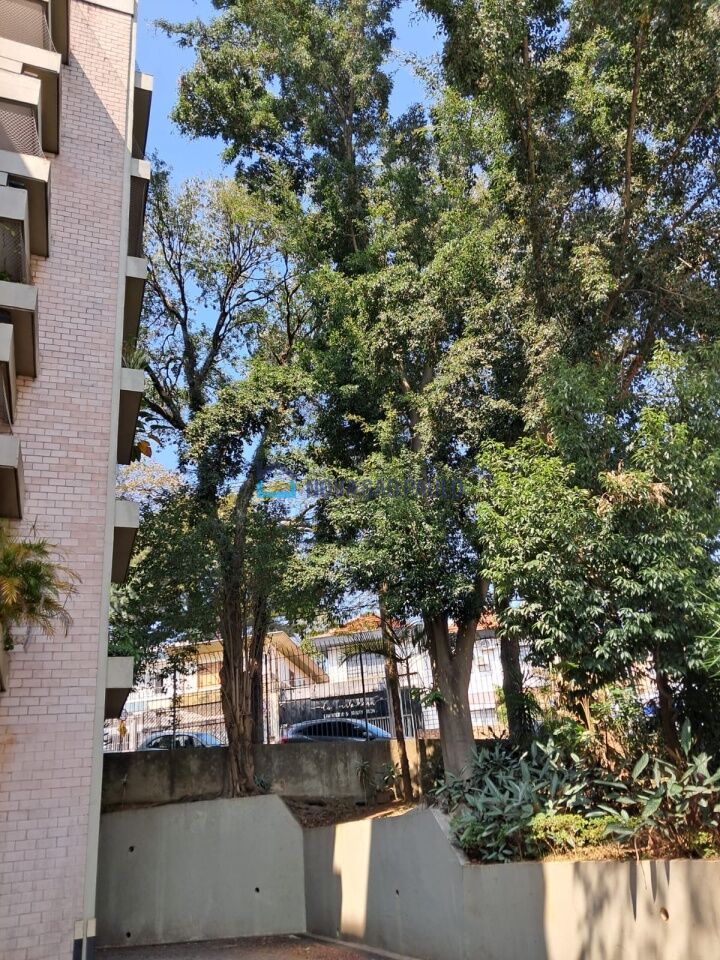Foto 22 - MO17041