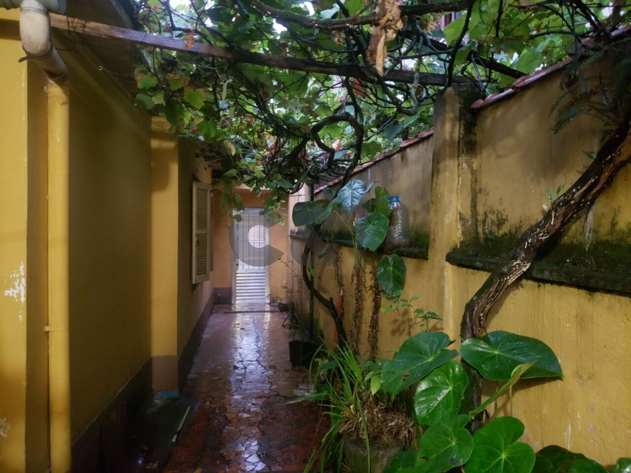 Casa Térrea para Venda - Jardim Caravelas