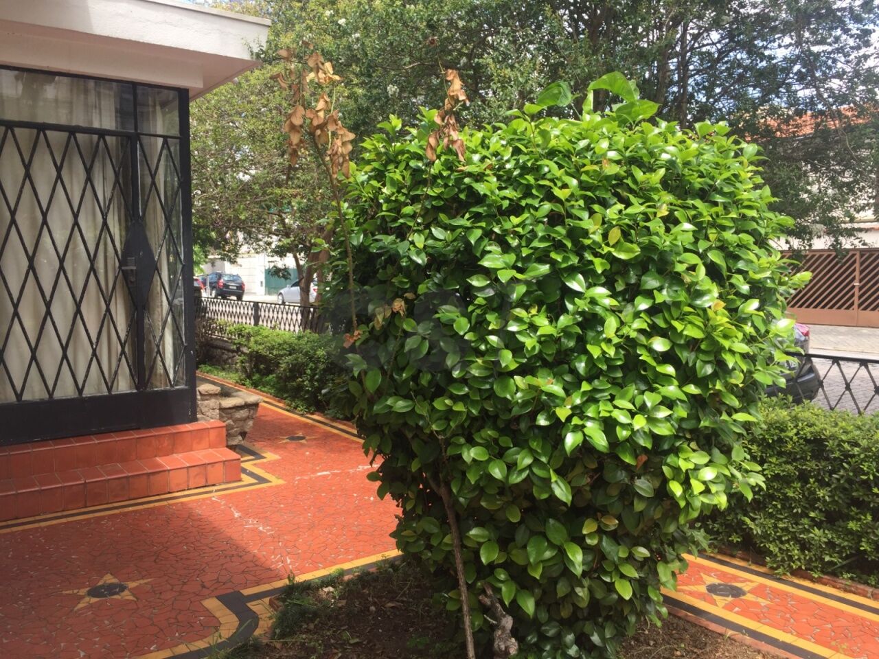 Casa Térrea para Venda - Brooklin Paulista
