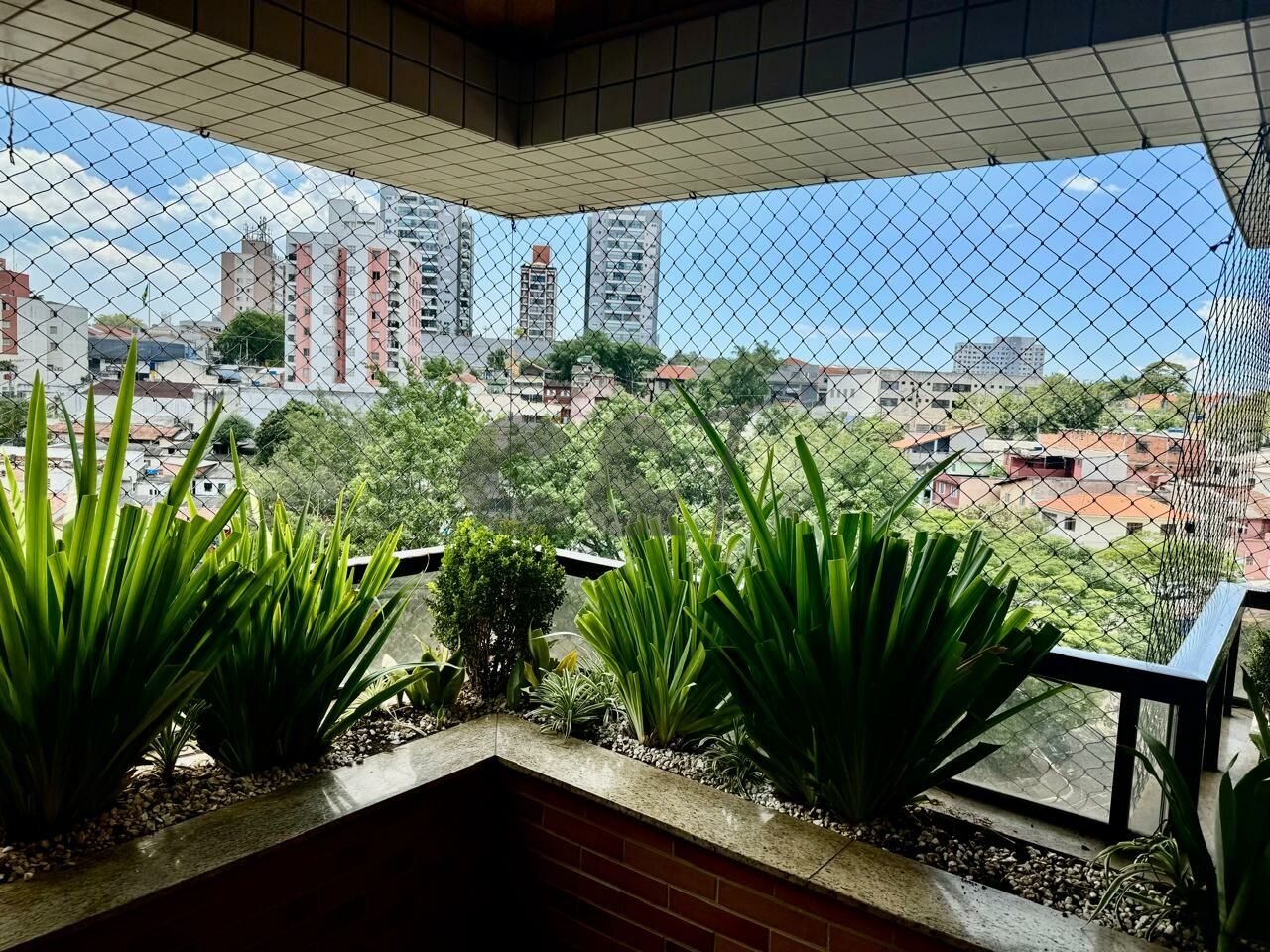 Apartamento para Locação - Vila Mascote
