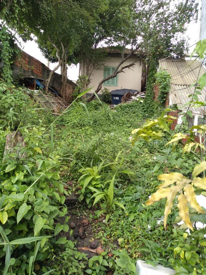 Terreno para Venda - Vila Maria Alta