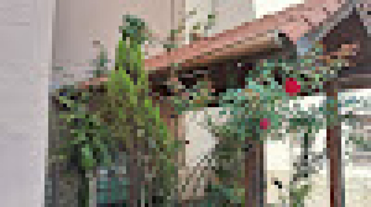 Apartamento para Venda - Jardim Martins Silva