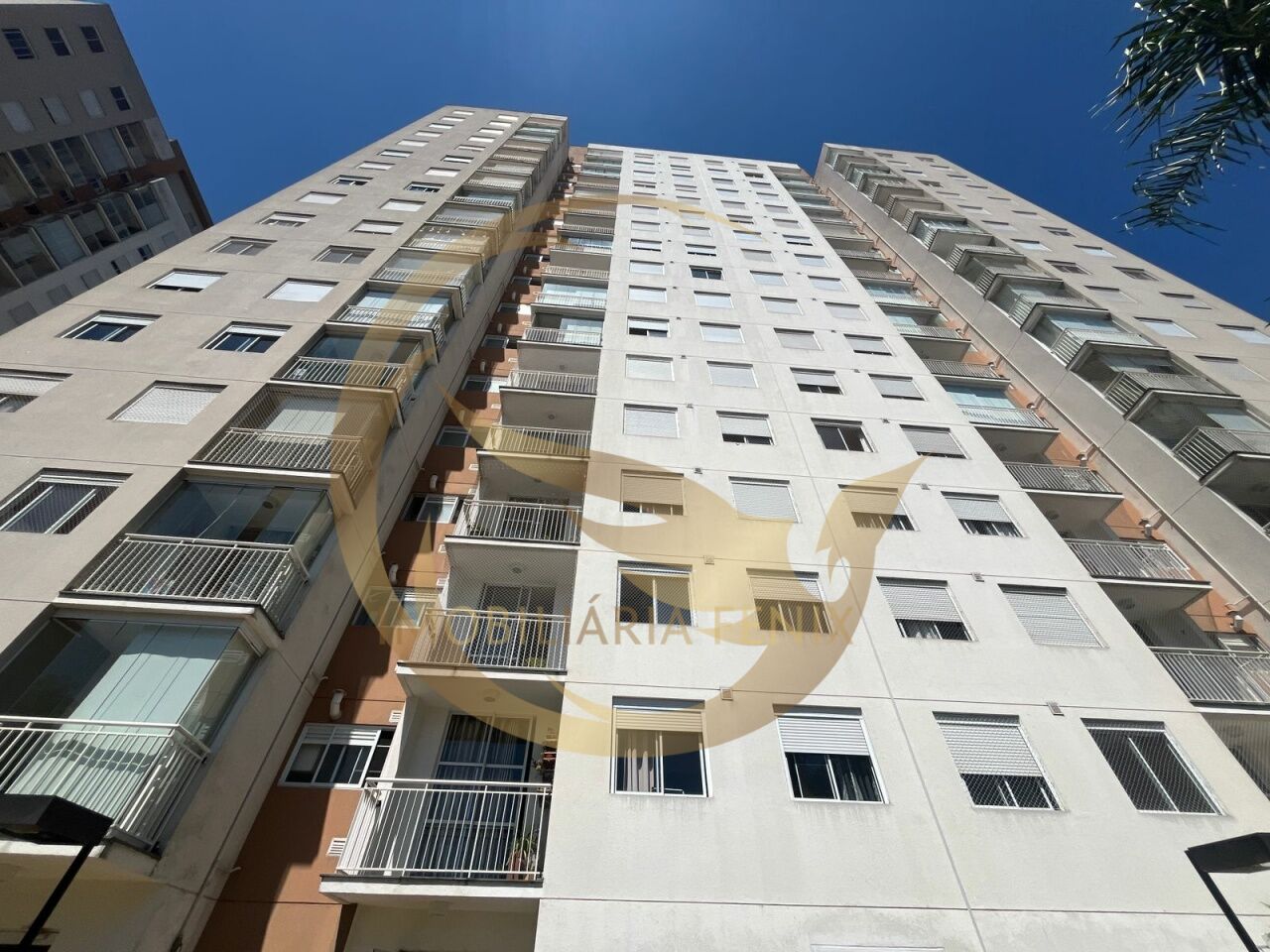 Apartamento para Locação - Vila Maria