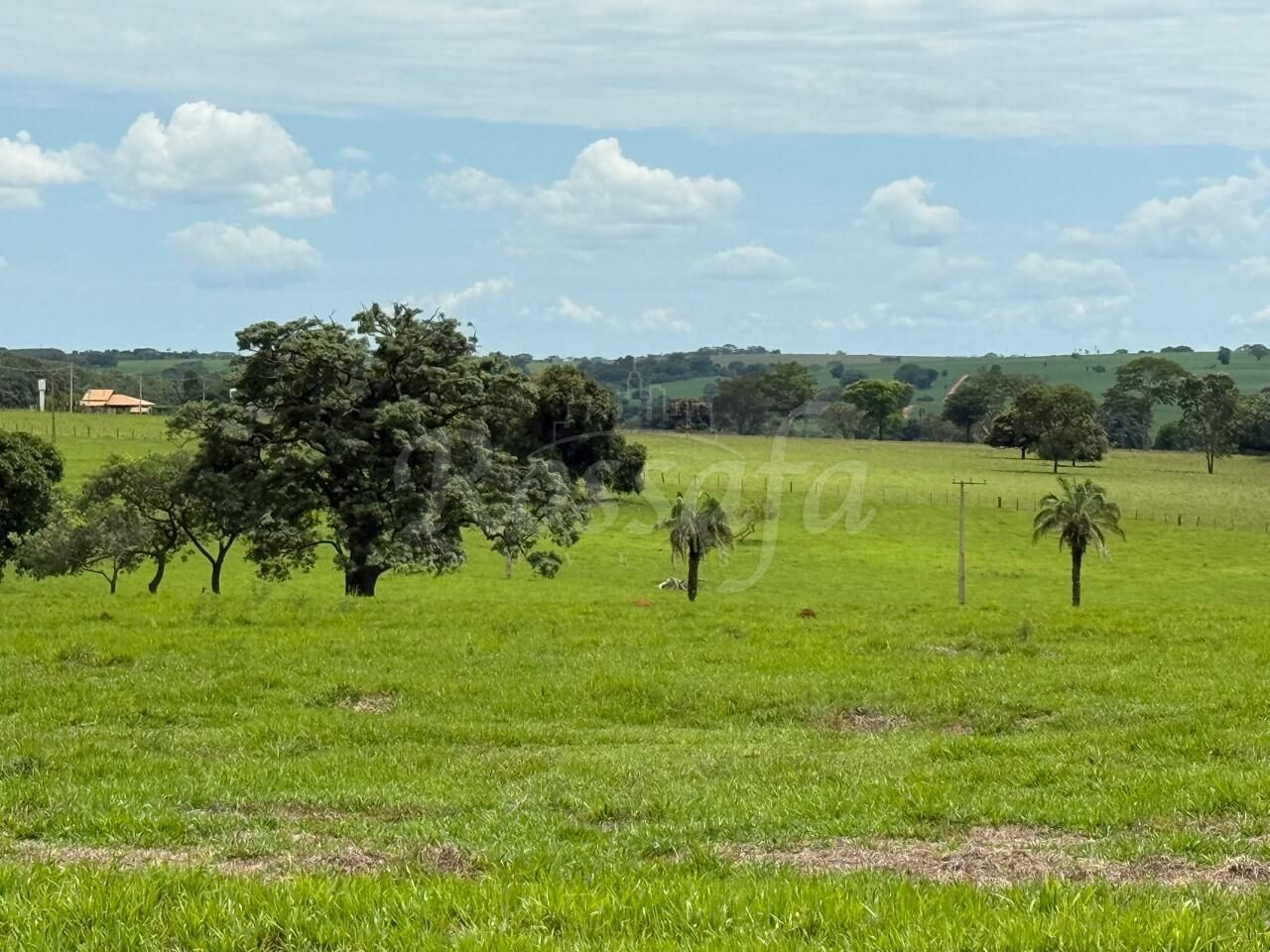 Sítio para Venda - Centro