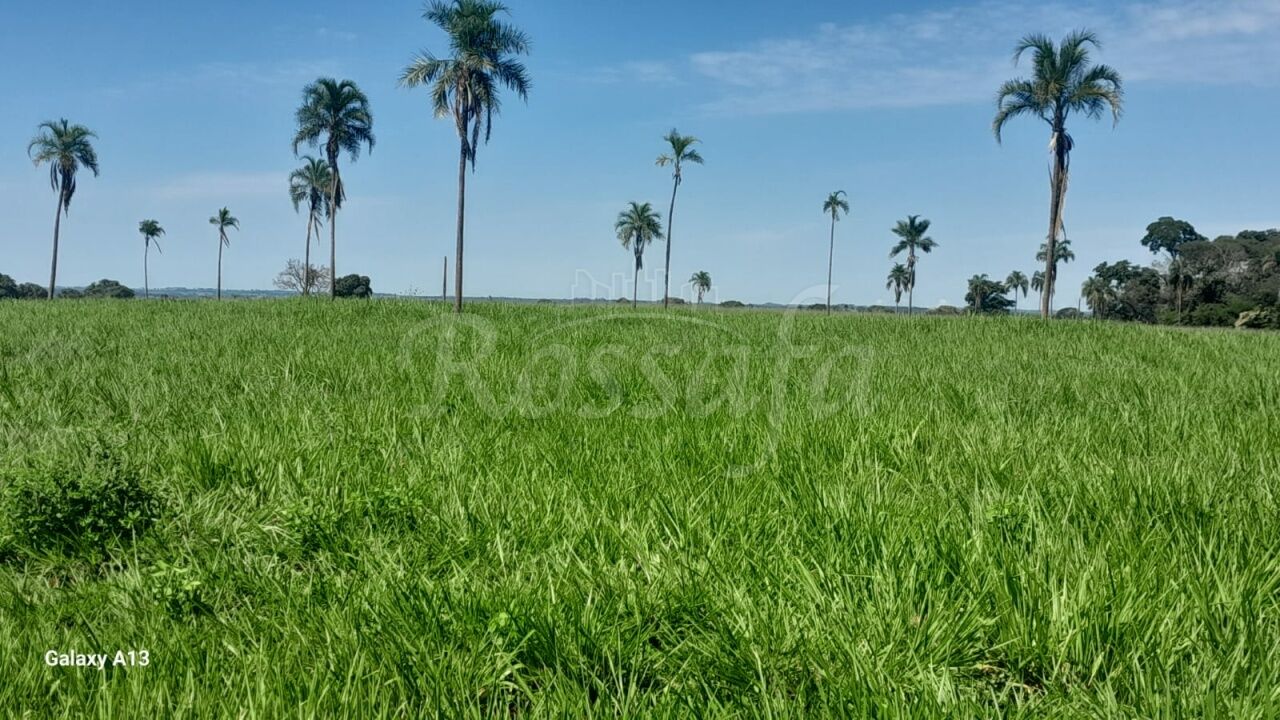 Sítio para Venda - Centro