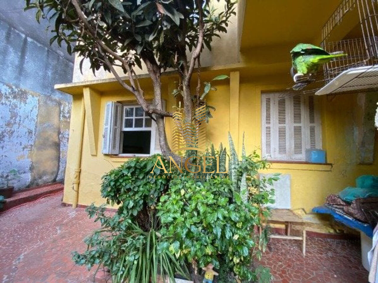 Terreno para Venda - Vila Prudente