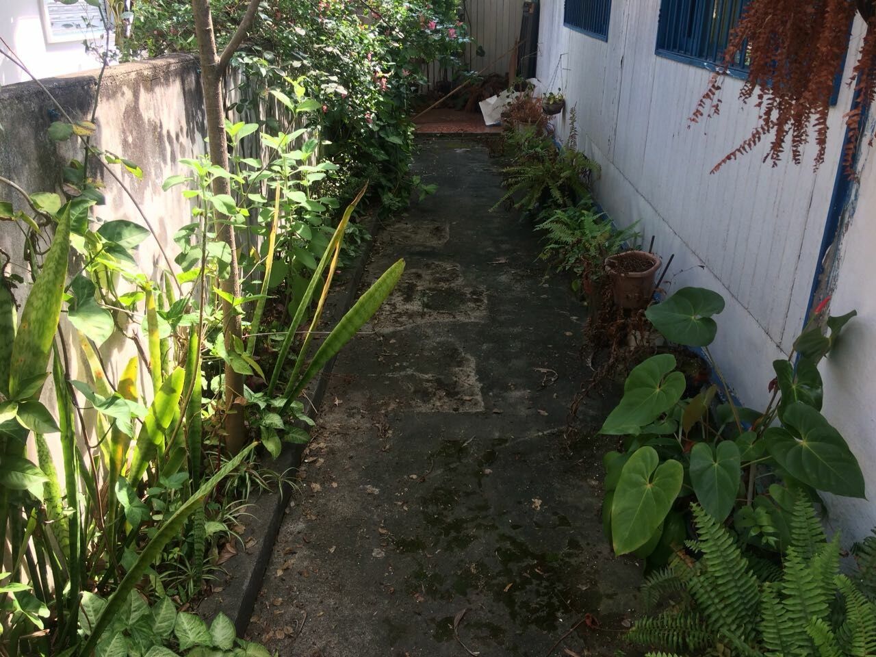 Terreno para Venda - Tucuruvi