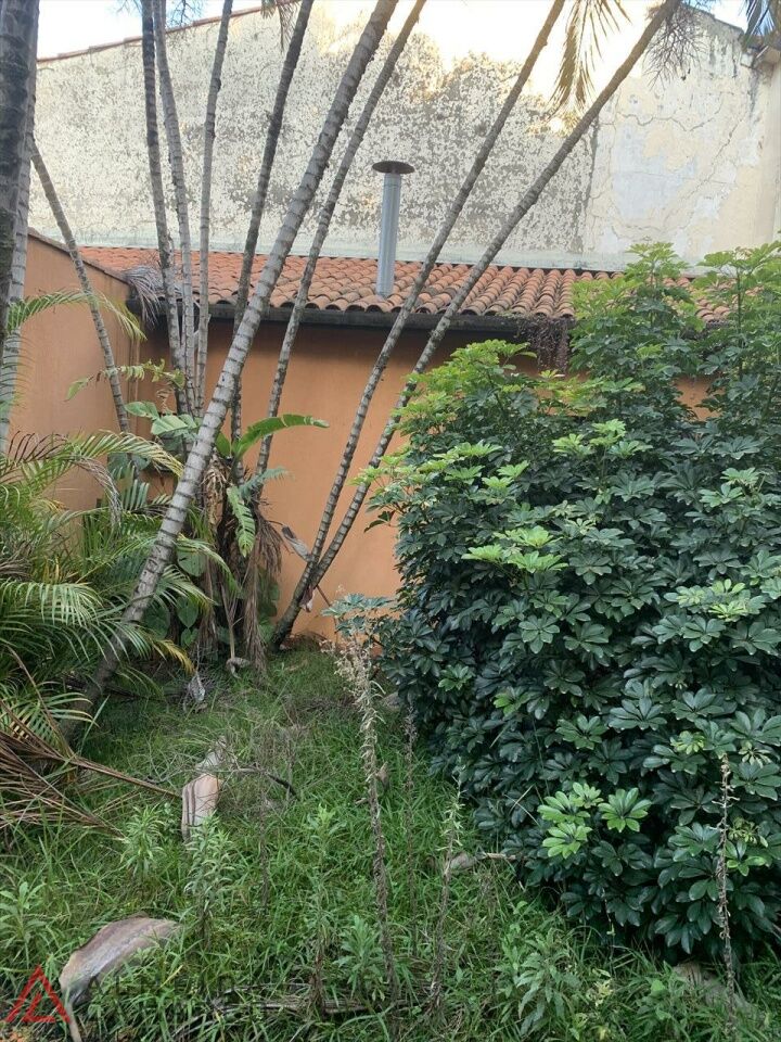 Foto 22