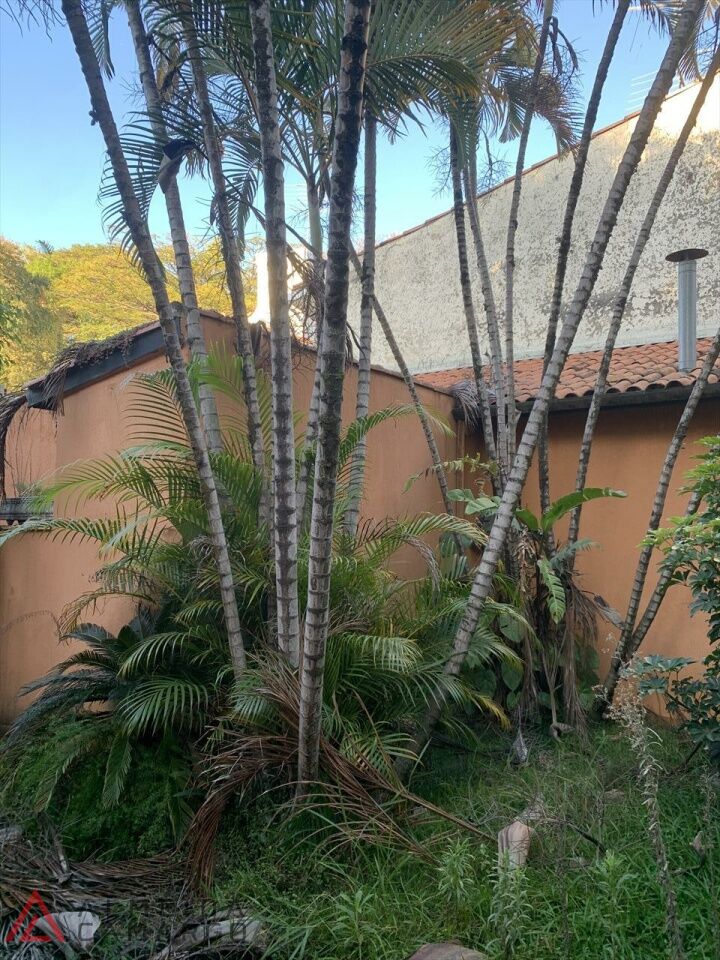 Foto 24