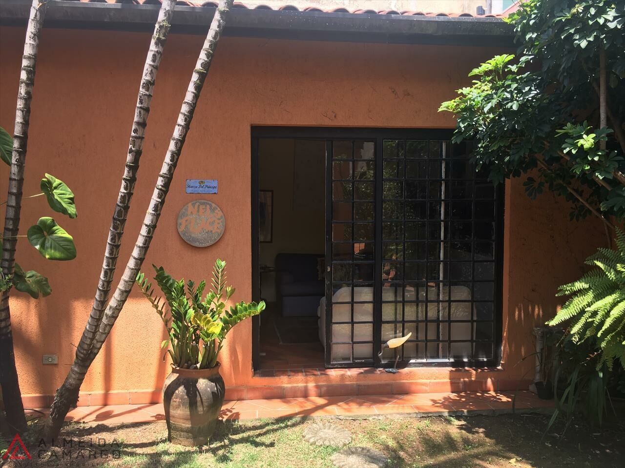 Foto 5