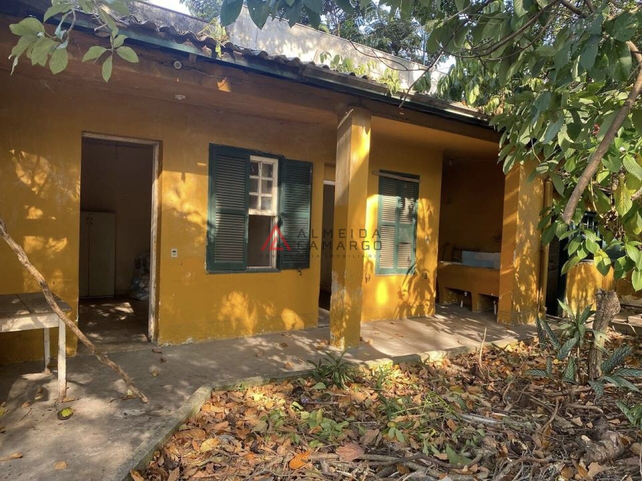 Foto 7