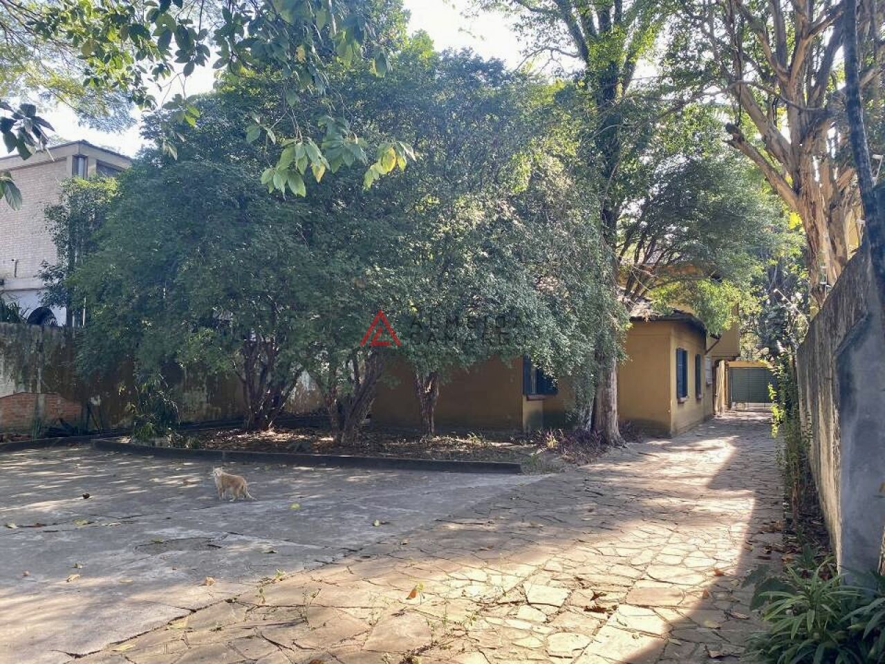 Foto 8