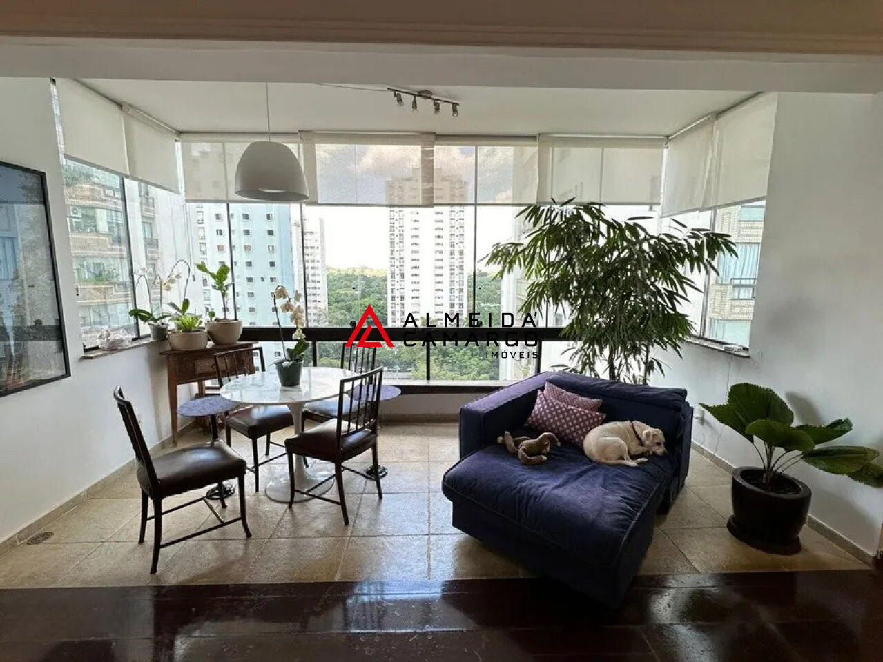 Foto 6
