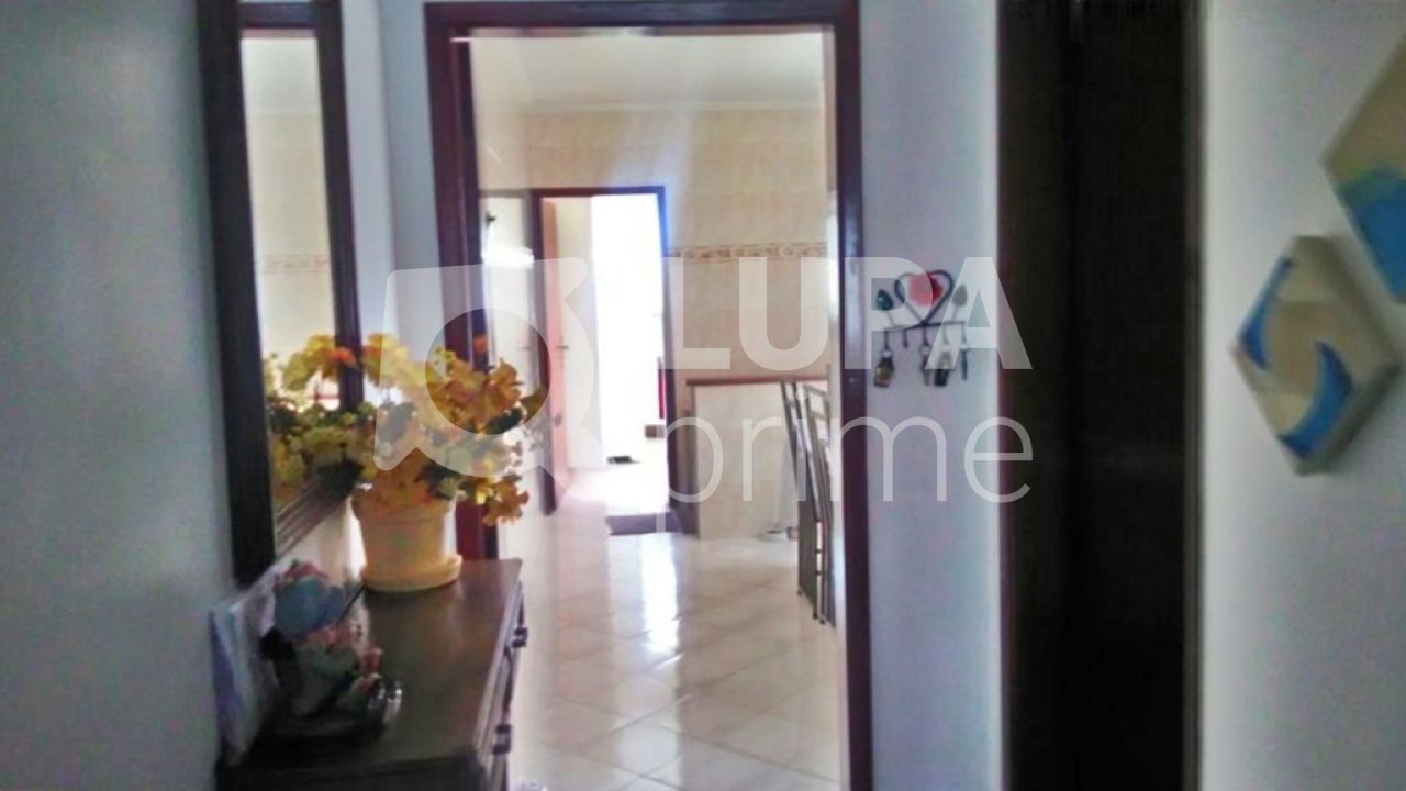 sobrado-venda-sao-paulo-vila-ede-3dormitorios-1suite-5vagas-225m2-LM10635