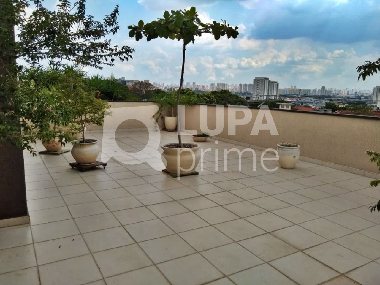 predio-venda-sao-paulo-vila-maria-alta-503m2-LM11813