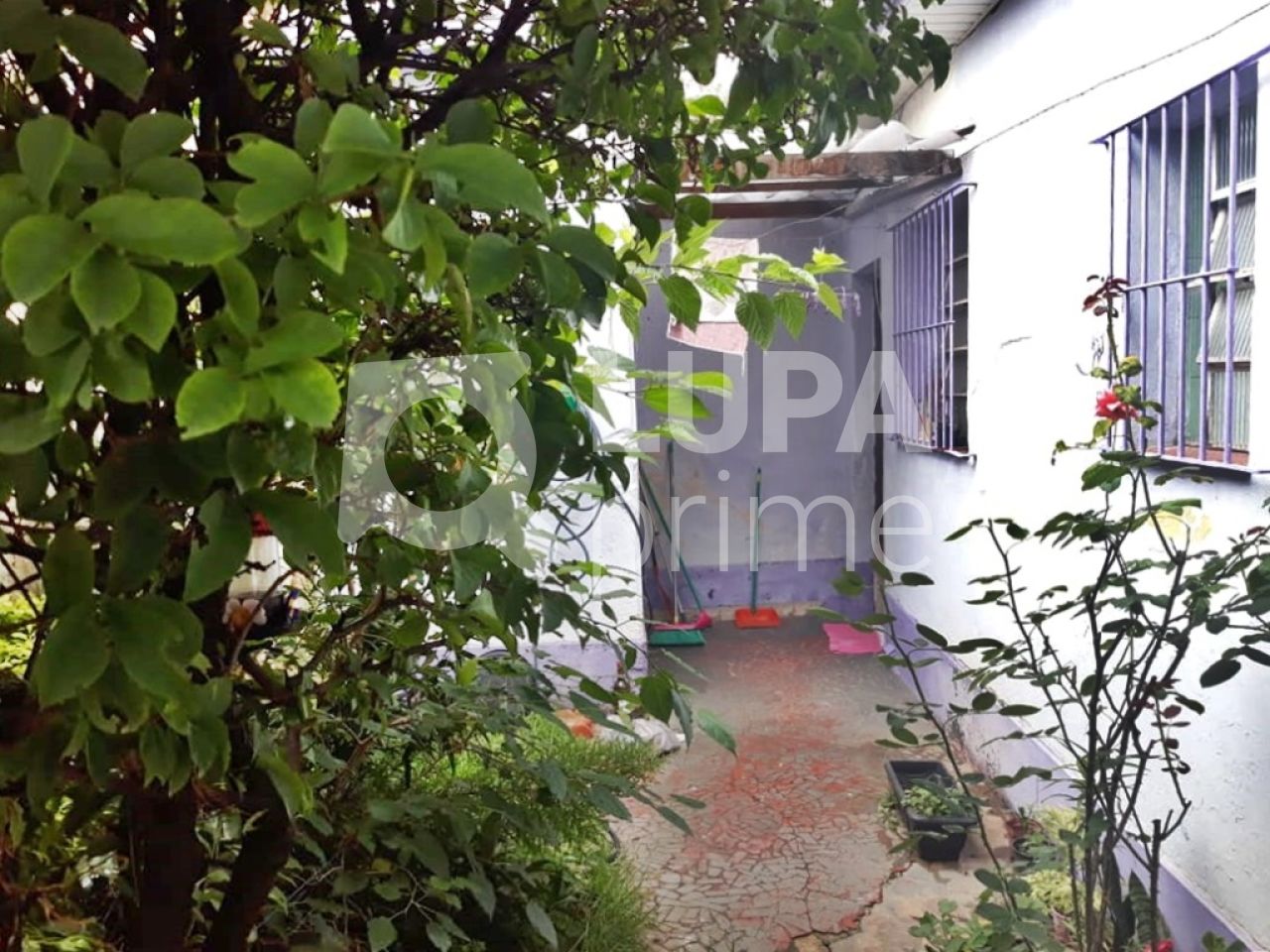 casa-terrea-venda-sao-paulo-vila-maria-alta-5dormitorios-2vagas-195m2-LM11979