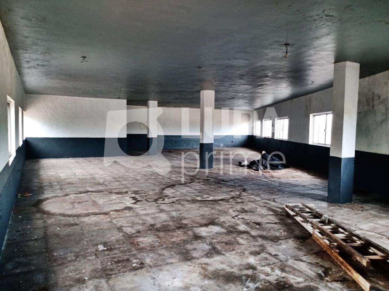 Loja-Salão, 250 m² - Foto 4