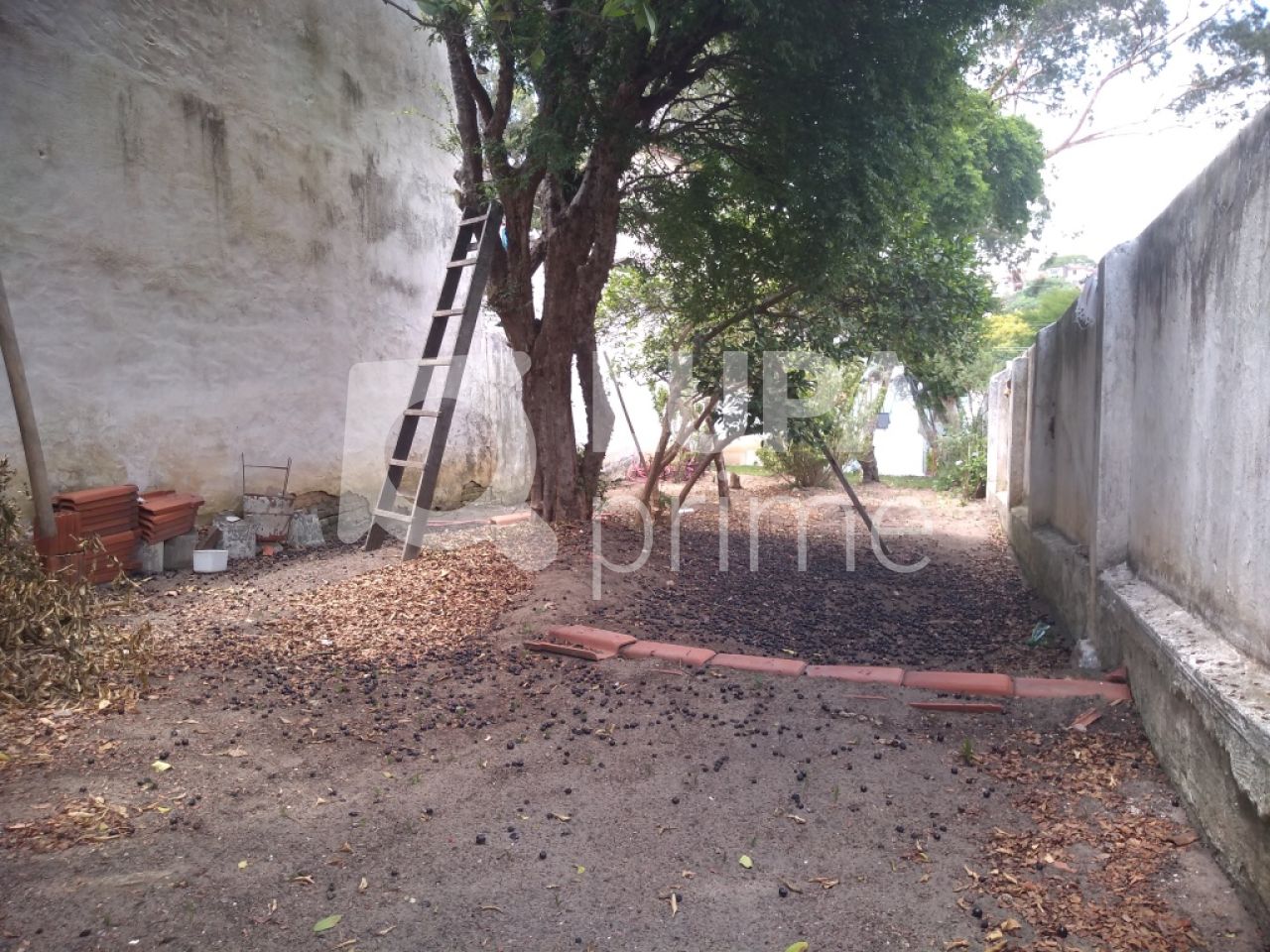 sobrado-venda-sao-paulo-vila-maria-2dormitorios-45m2-LM13435