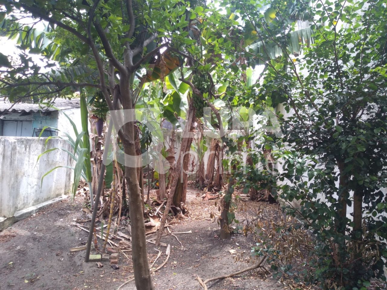 sobrado-venda-sao-paulo-vila-maria-2dormitorios-45m2-LM13435