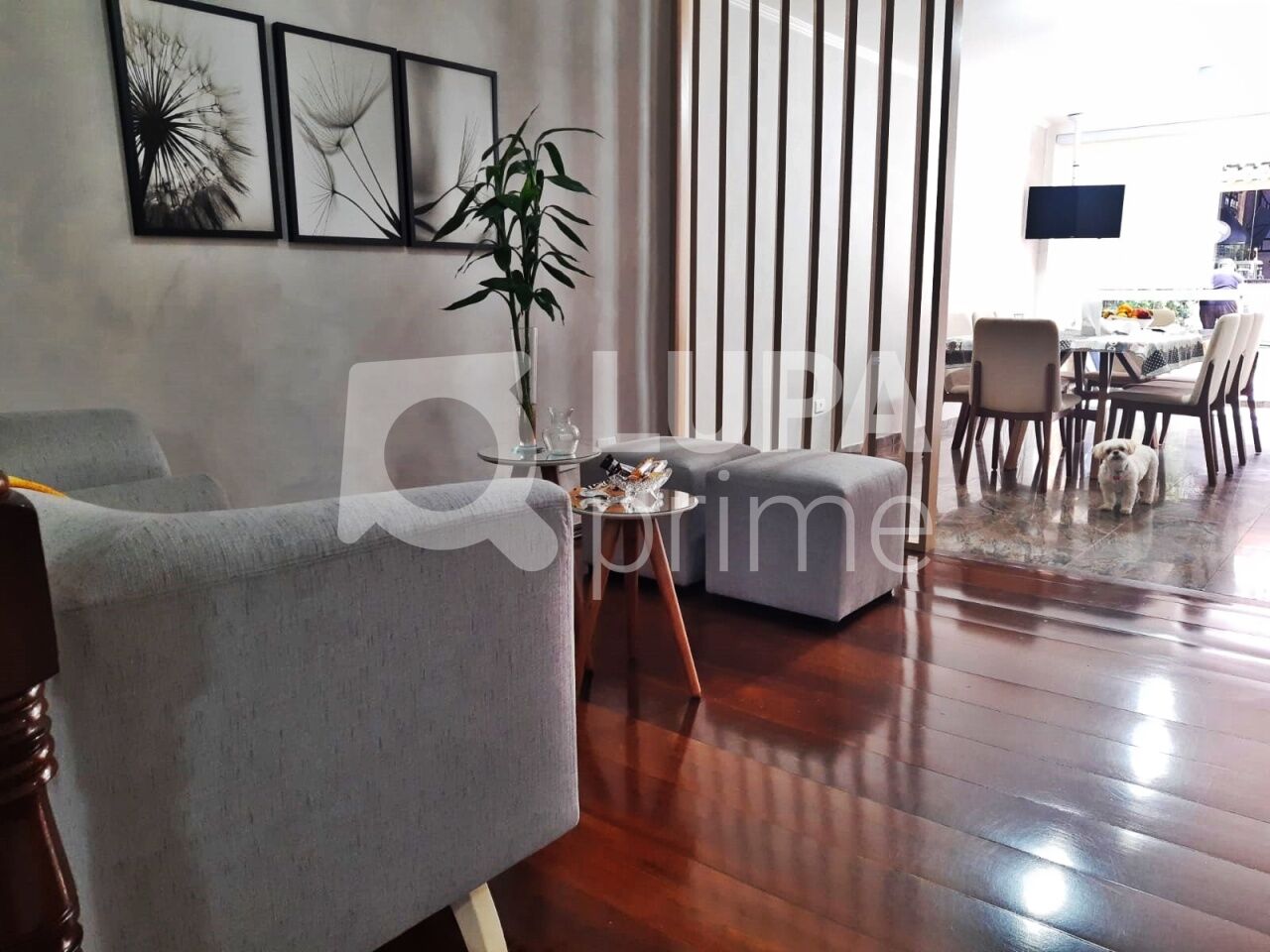 sobrado-venda-sao-paulo-vila-maria-4dormitorios-1suite-4vagas-340m2-LM13592