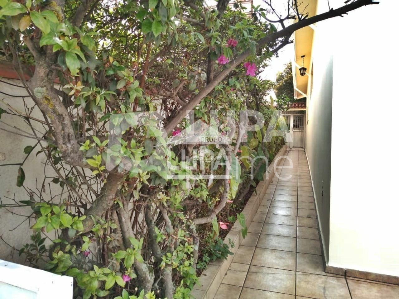 casa-terrea-venda-sao-paulo-vila-maria-2dormitorios-4vagas-250m2-LM13708