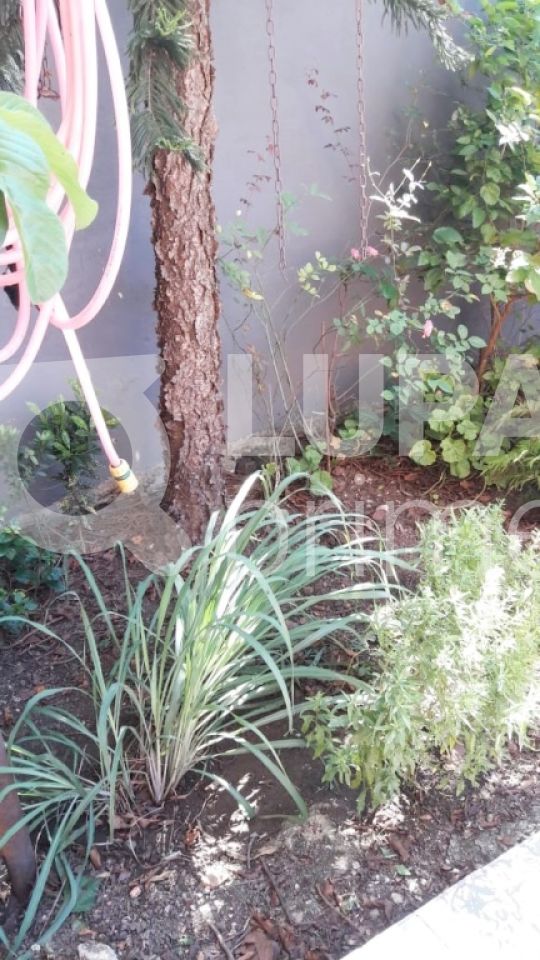 sobrado-venda-sao-paulo-vila-ede-4dormitorios-2suites-7vagas-269m2-LM13825