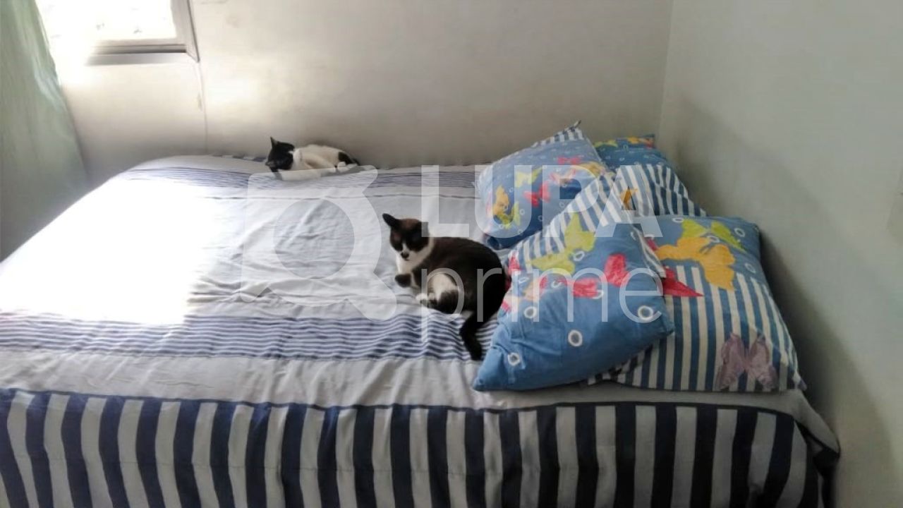 apartamento-venda-sao-paulo-tucuruvi-2dormitorios-1vaga-63m2-LM15269