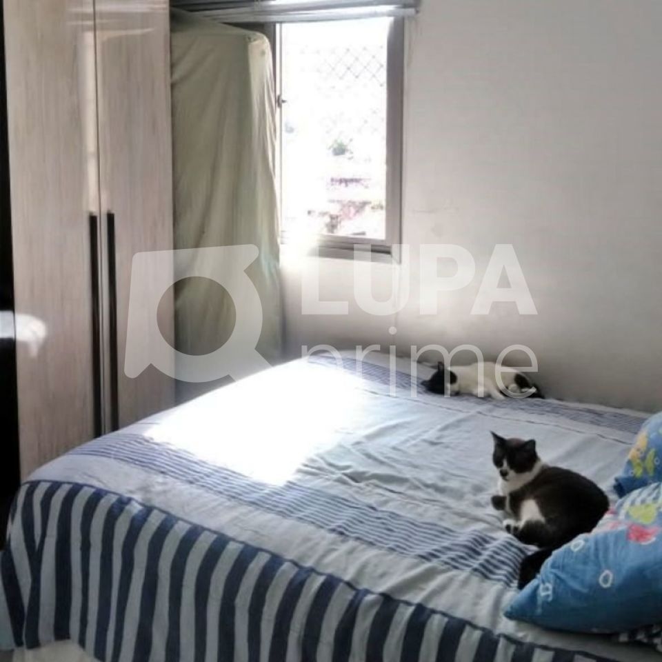 apartamento-venda-sao-paulo-tucuruvi-2dormitorios-1vaga-63m2-LM15269