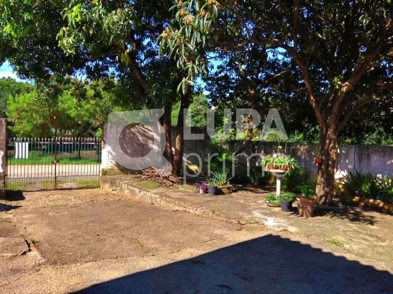 terreno-venda-sao-paulo-vila-guilherme-596m2-LM15319