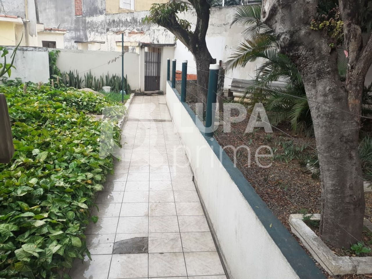 terreno-venda-sao-paulo-vila-maria-baixa-850m2-LM15490